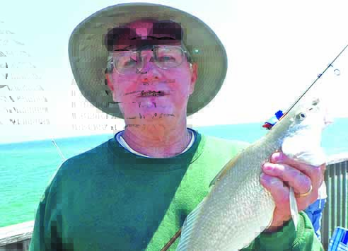 Mullet Wrapper: Gulf State Park Pier offers fishing fun, education
