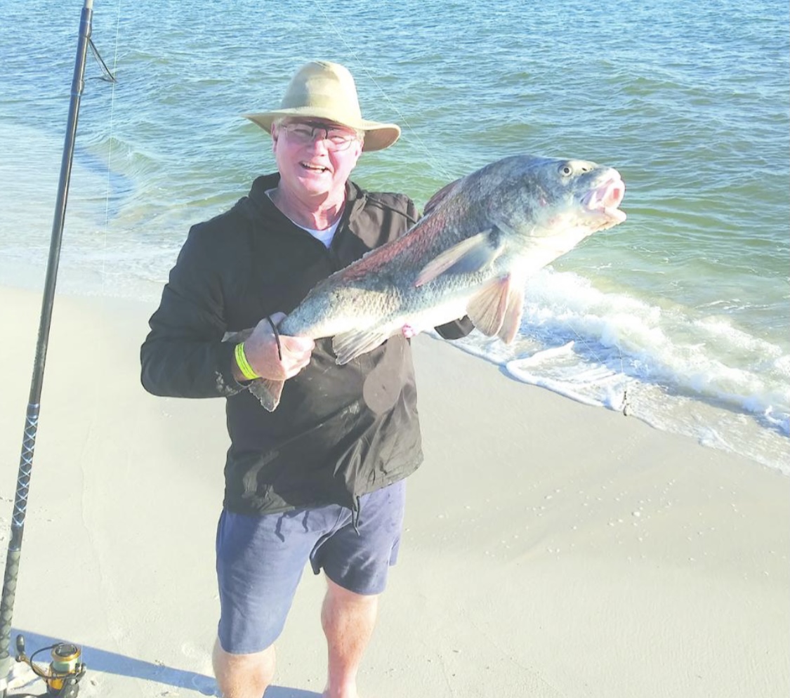 Mullet Wrapper: Pier & Shore Fishing Outlook in Gulf Shores & Orange Beach