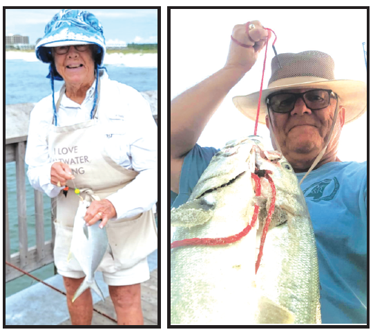 Mullet Wrapper: Gulf State Park Pier offers fishing fun, education