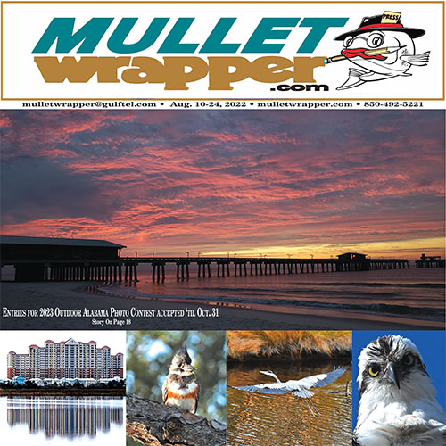 Mullet Wrapper: Gulf State Park Pier offers fishing fun, education in Gulf  Shores & Orange Beach